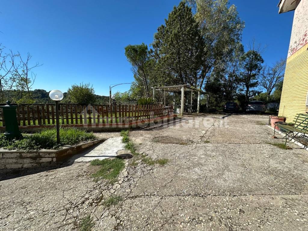 Giardino