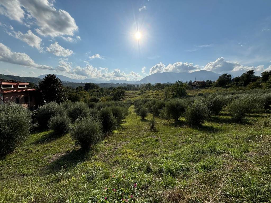 Terreno agricolo sp185, montefredane