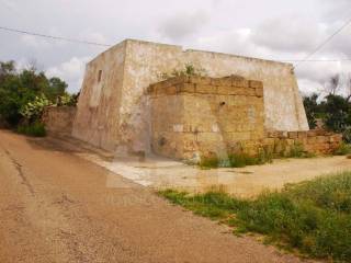 liama