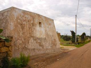 liama
