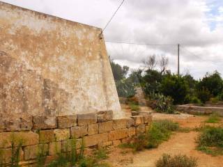 liama