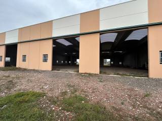 INGRESSO