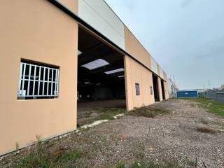INGRESSO