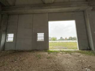INGRESSO