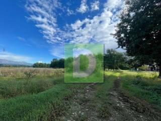 vista