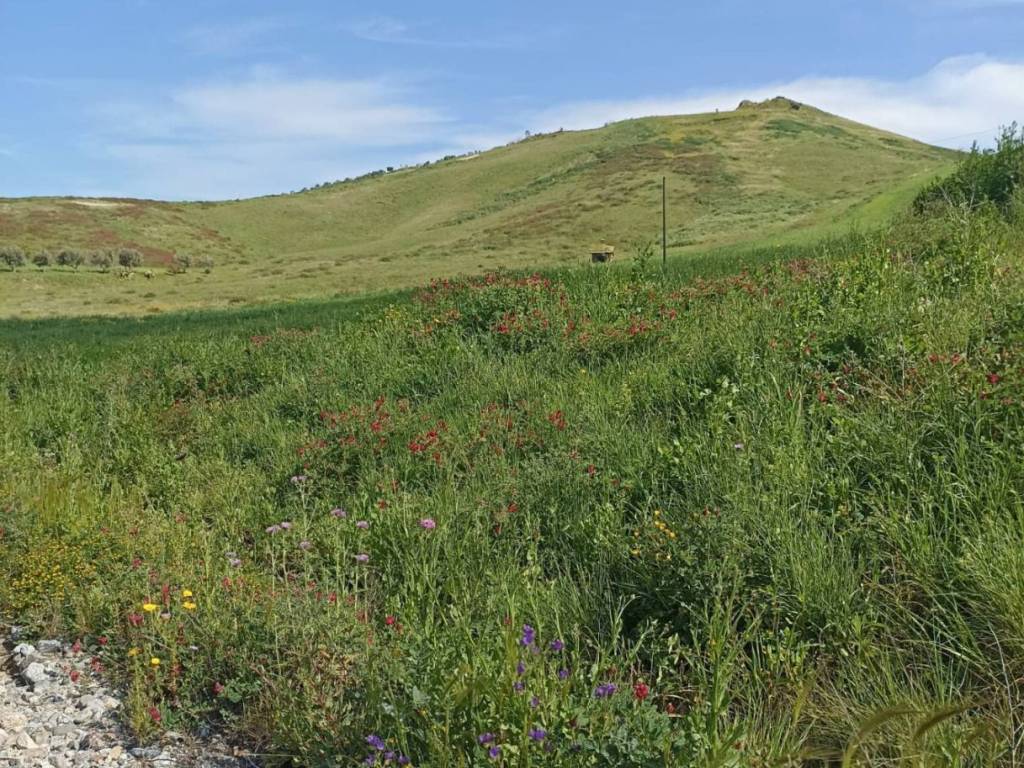 Terreno agricolo viale emilia, catanzaro lido, catanzaro