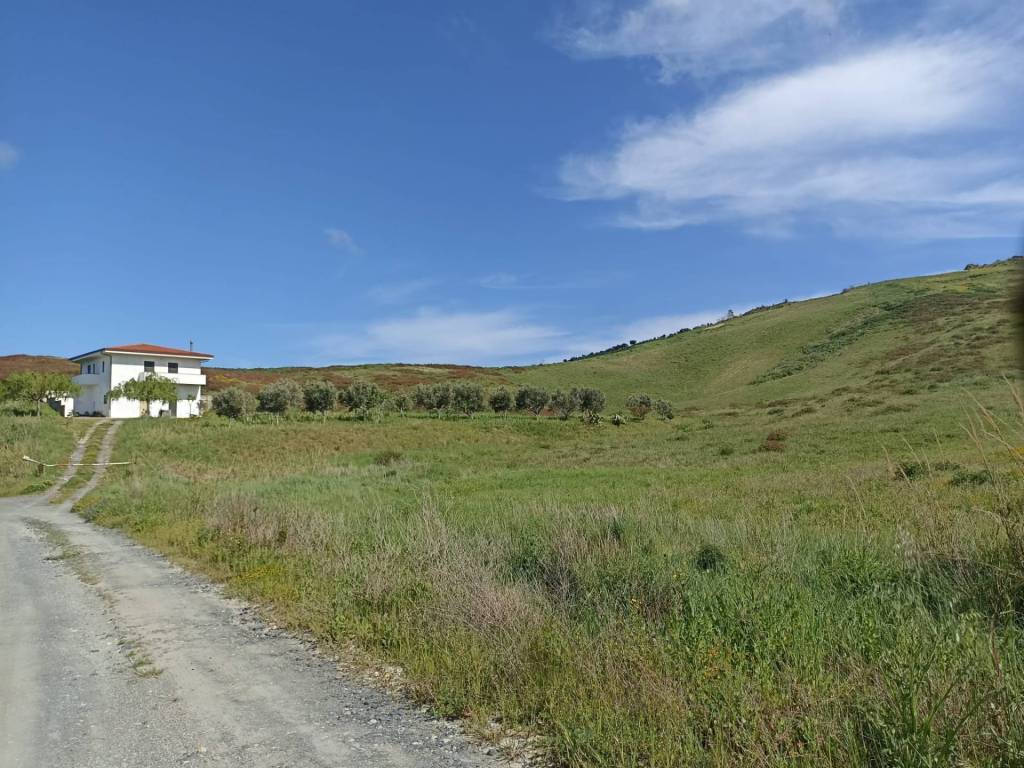 Terreno