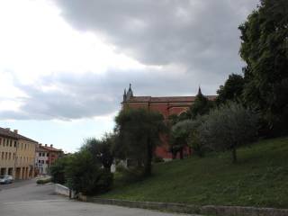 Zona