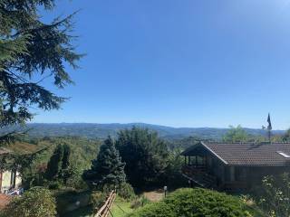Vista