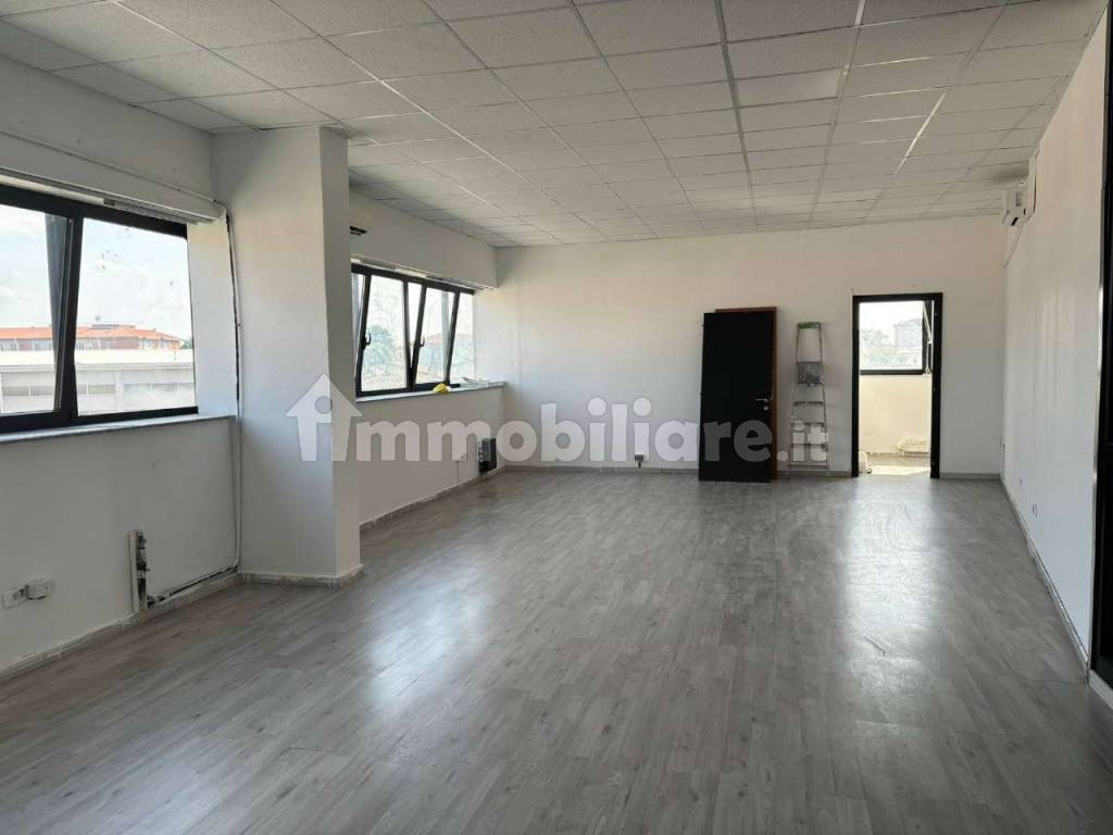 2024_06_2024062471524-871605-5