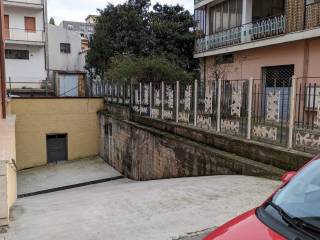 Zona