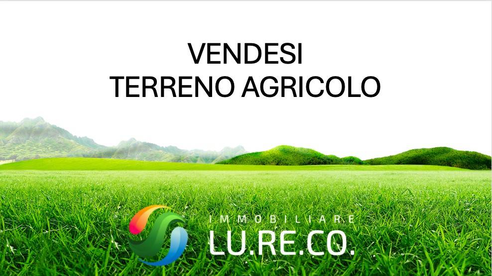 Terreno agricolo via benvenuto cellini, porada, seregno