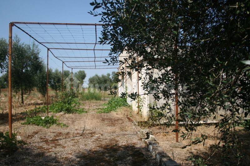 Immagine 032 (800x533).jpg