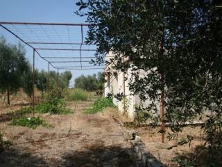 Immagine 032 (800x533).jpg