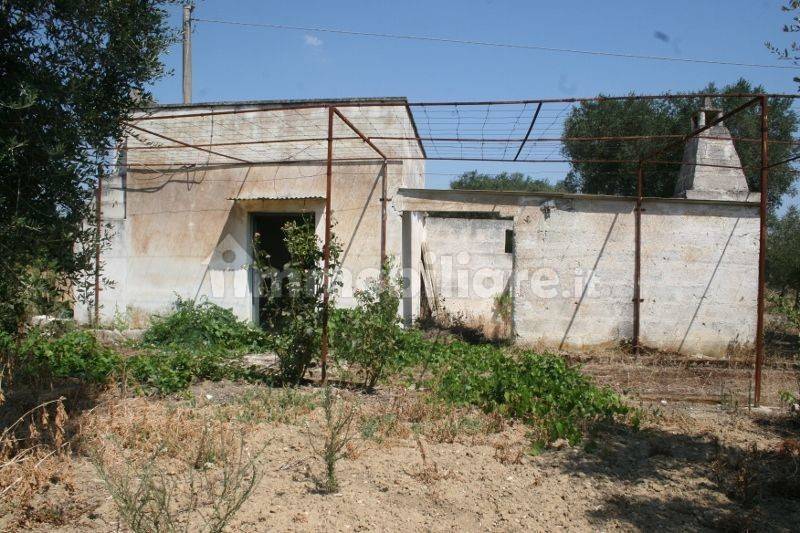 Immagine 004 (800x533).jpg