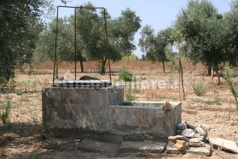 Immagine 021 (800x533).jpg