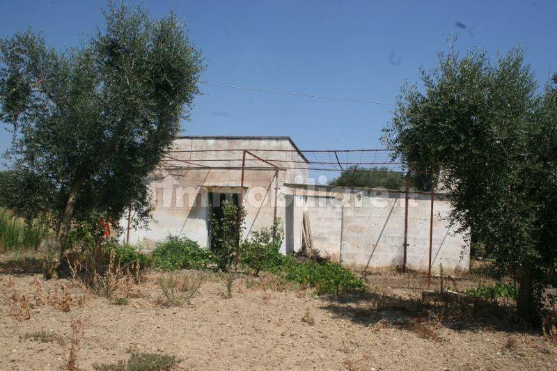 Immagine 018 (800x533).jpg