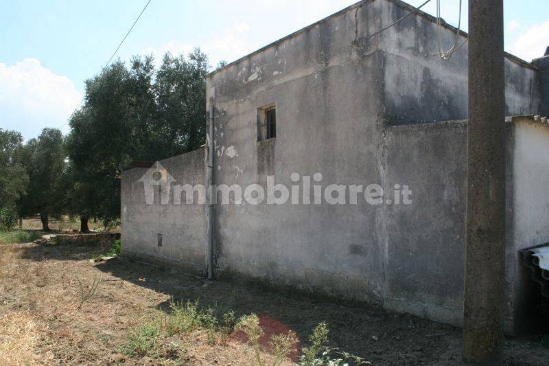 Immagine 006 (800x533).jpg