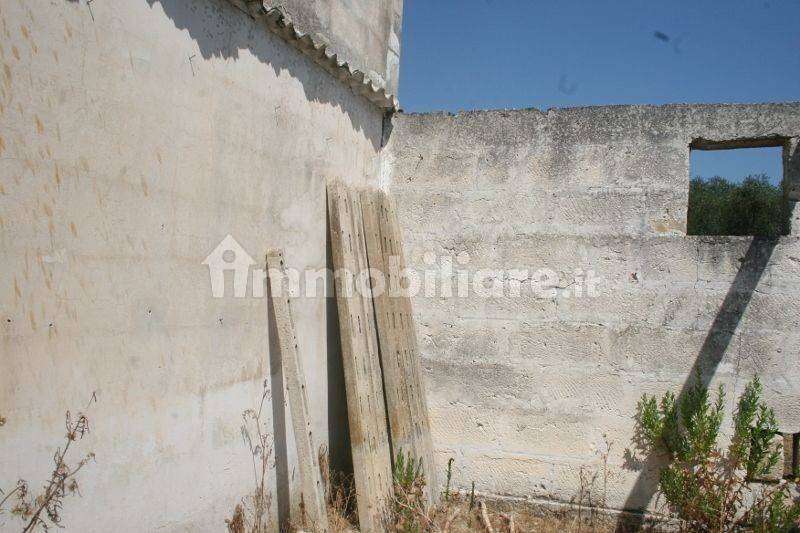 Immagine 012 (800x533).jpg