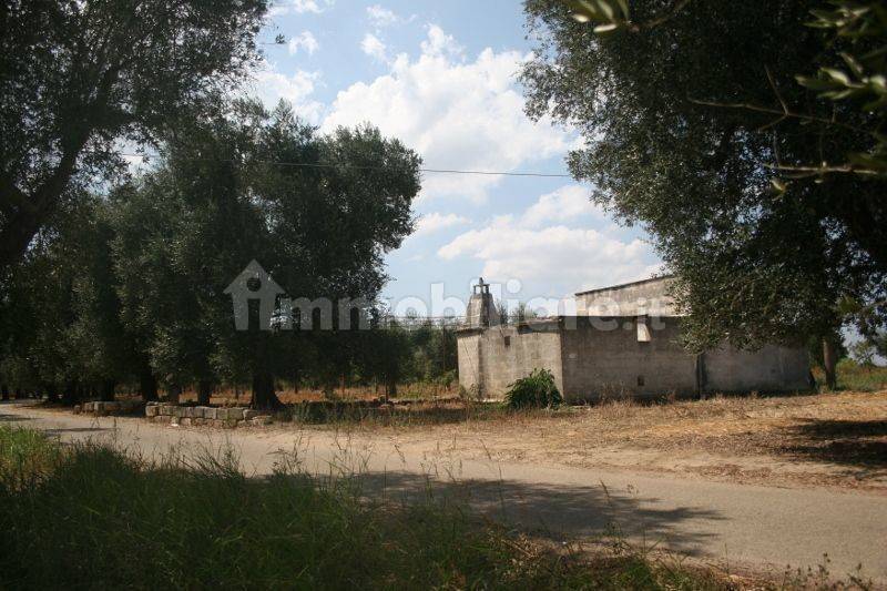 Immagine 038 (800x533).jpg