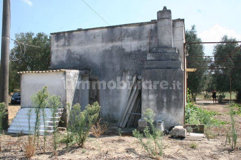 Immagine 005 (800x533).jpg