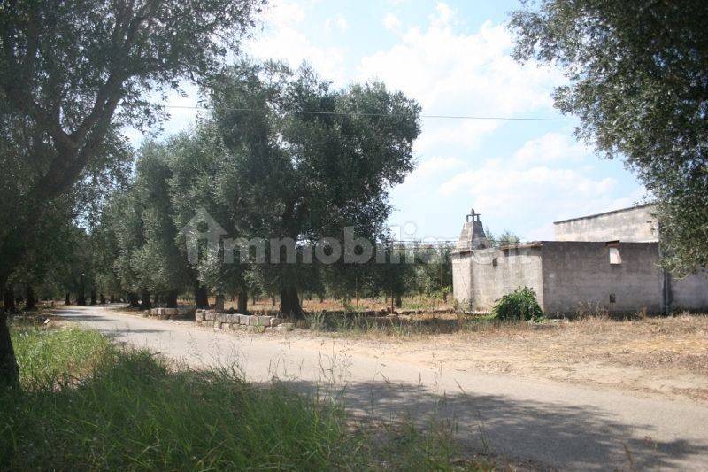 Immagine 039 (800x533).jpg