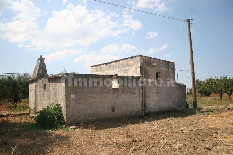 Immagine 040 (800x533).jpg