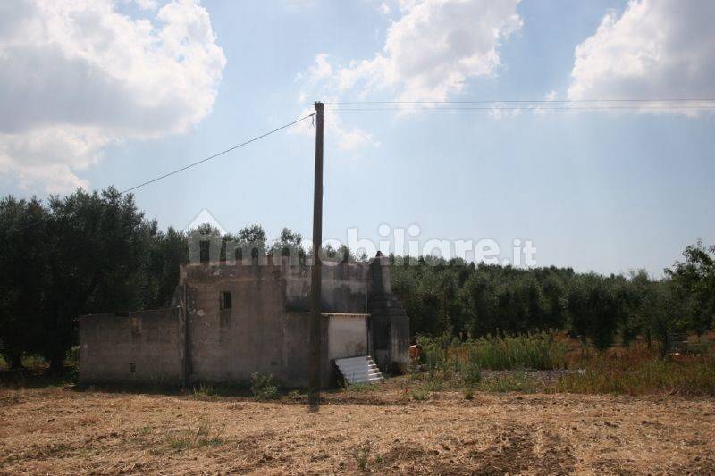 Immagine 042 (800x533).jpg