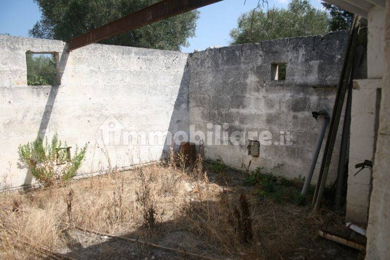 Immagine 046 (800x533).jpg