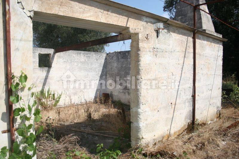 Immagine 047 (800x533).jpg