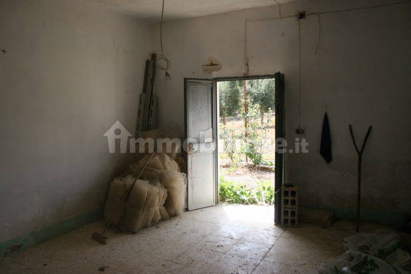 Immagine 050 (800x533).jpg