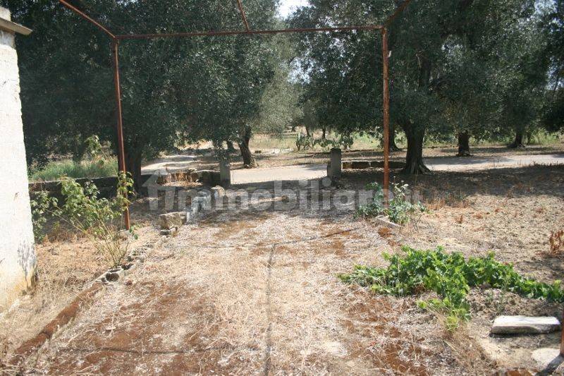 Immagine 053 (800x533).jpg