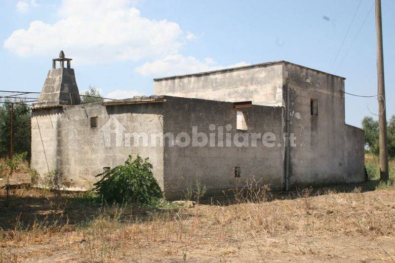 Immagine 001 (800x533).jpg