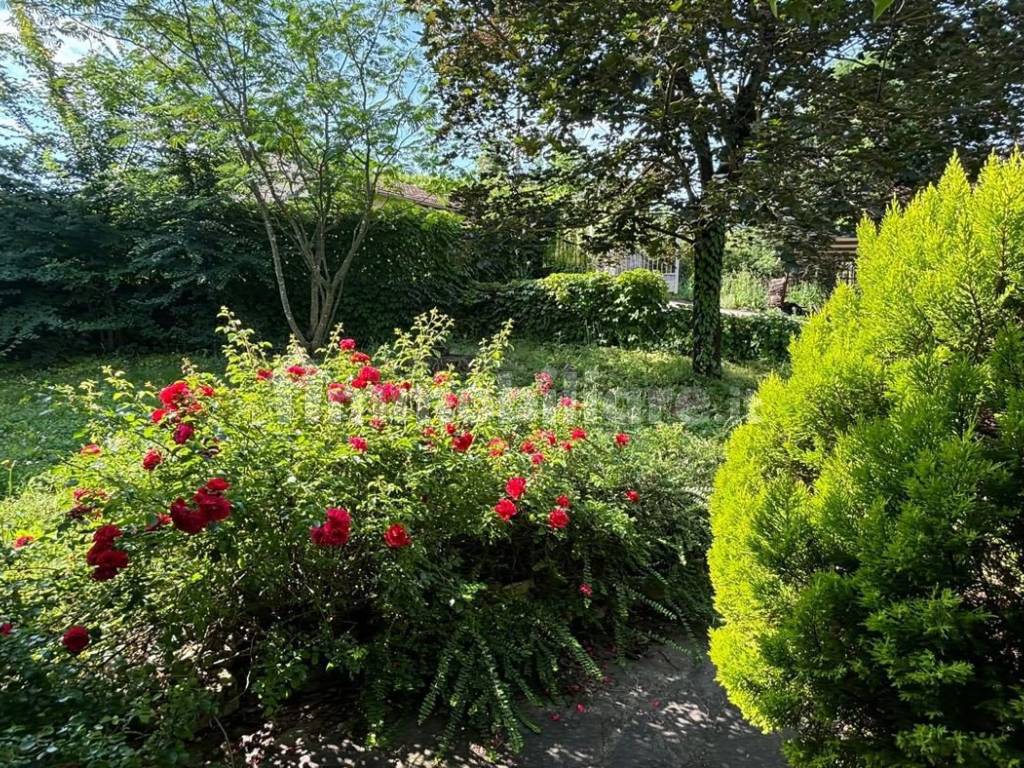 Giardino