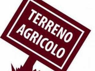 vendesi terreno agricolo
