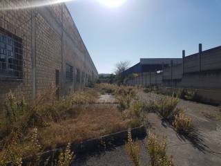 Immagini -20211028_110402.jpg