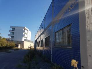 Immagini -20211028_110405.jpg