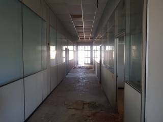 Immagini -20211028_110621.jpg