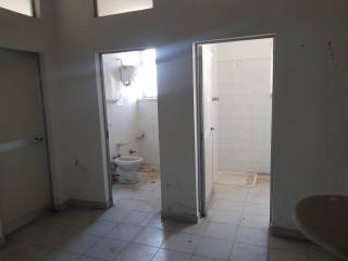 Immagini -20211028_110652.jpg