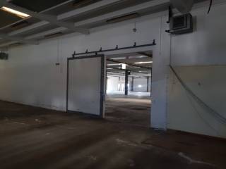 Immagini -20211028_111055.jpg