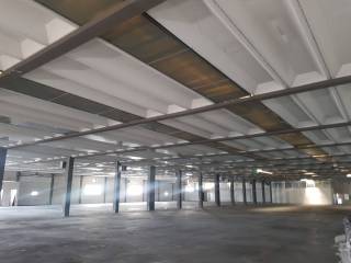 Immagini -20211028_111334.jpg