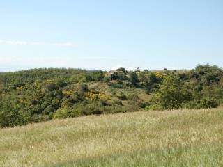 Panorama01
