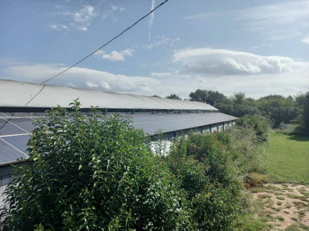 Terreno agricolo via palustrella, centro, san giovanni lupatoto