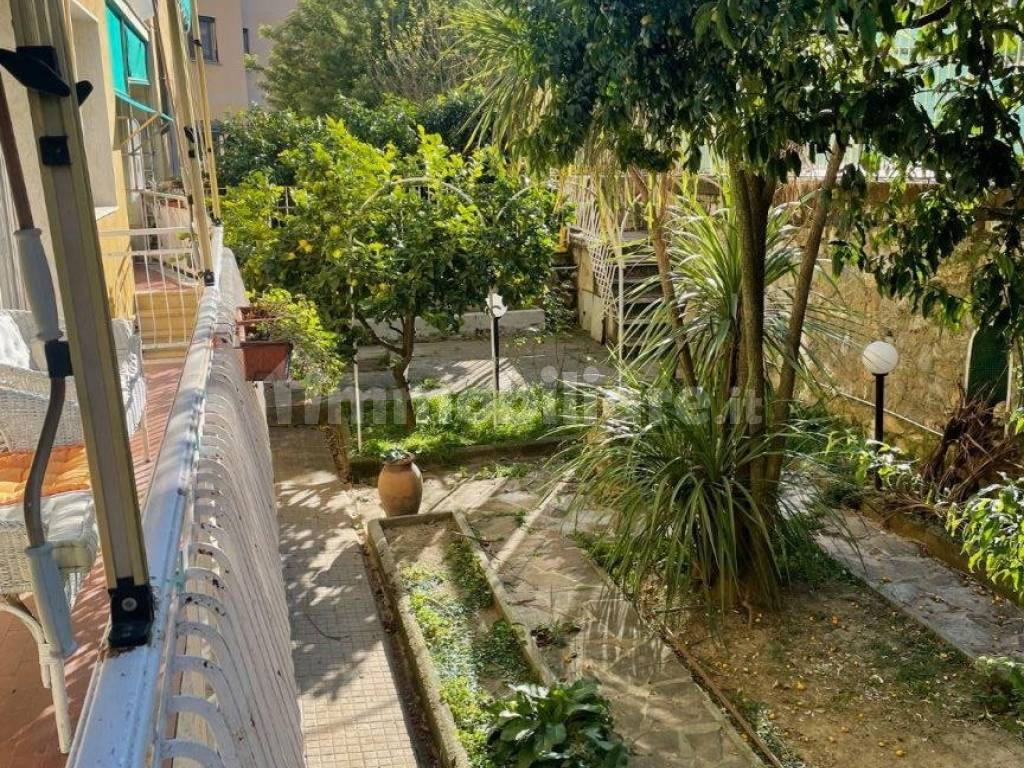 Giardino