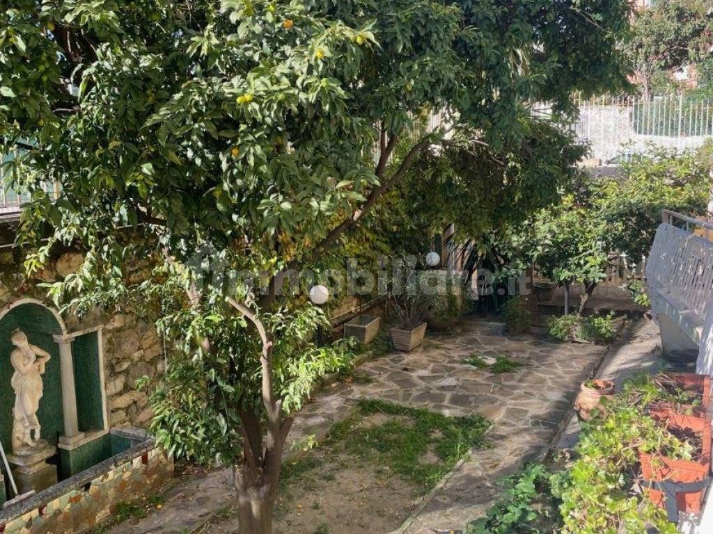 Giardino