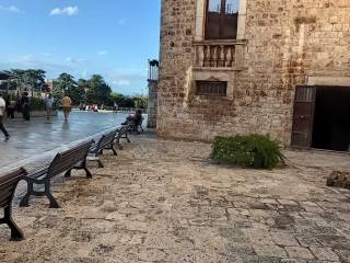Zona