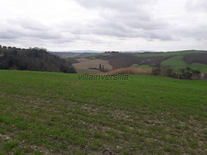 Terreno agricolo, asciano