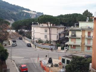Vista