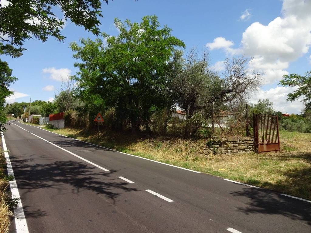 Terreno agricolo via sacrofano-cassia, strada romana dritta, sacrofano