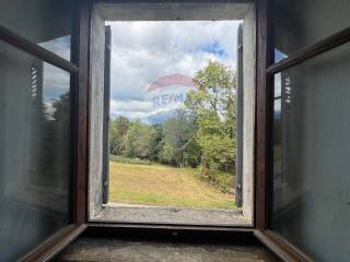 Vista